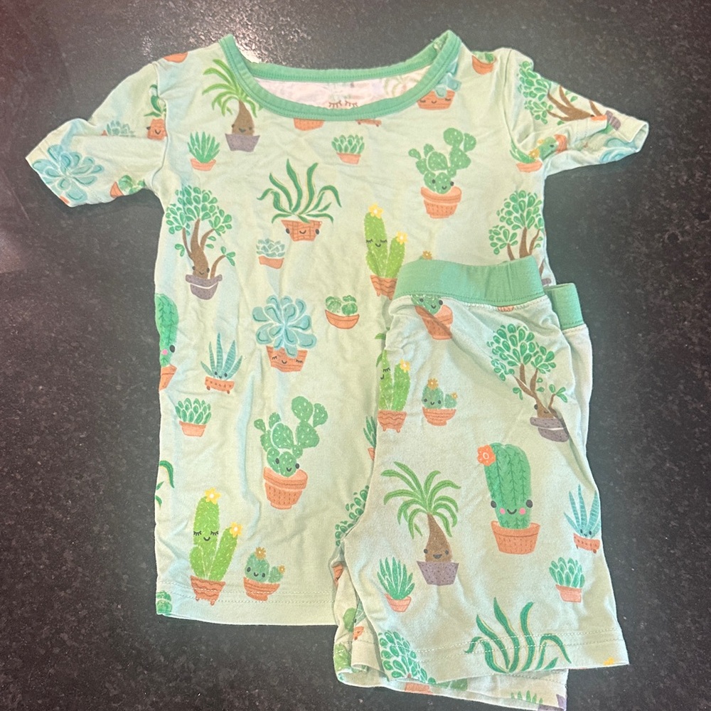 Little Sleepies Cactus Print Pajama Set - Green